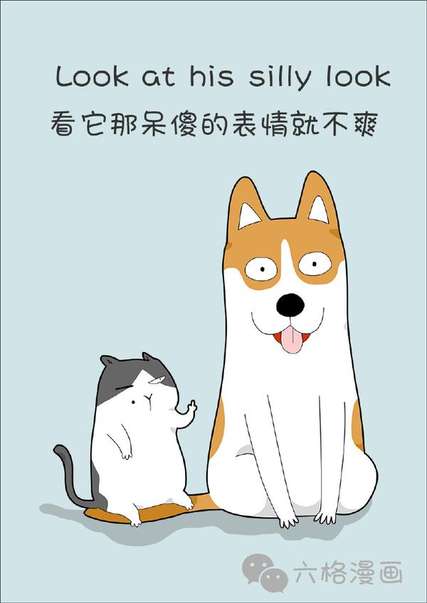 猫狗漫画 知乎