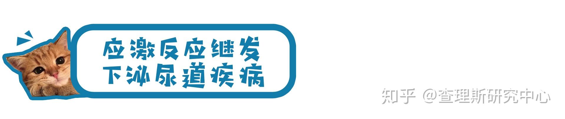 貓咪不愛吃飯精神差出現應激反應怎麼辦怎麼預防貓咪出現應激呢