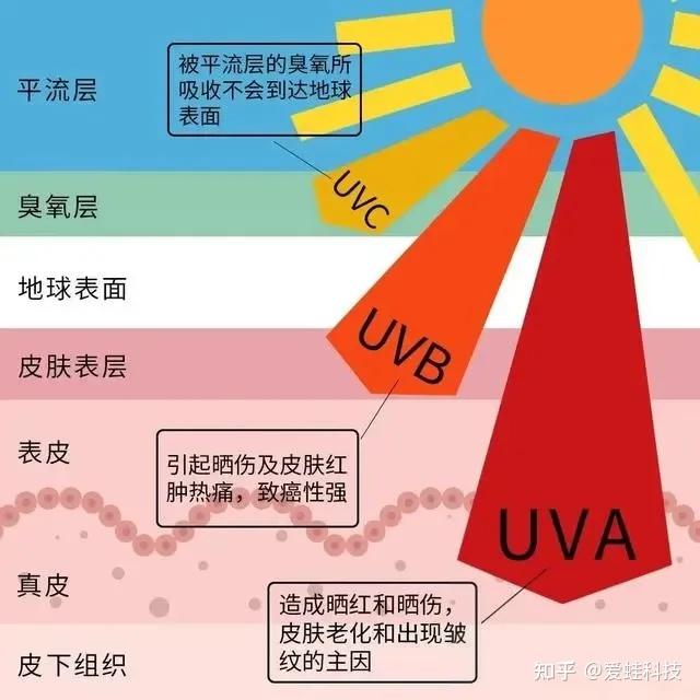 一文搞懂UVA、UVB、UVC、UVD的区别与应用领域 - 知乎