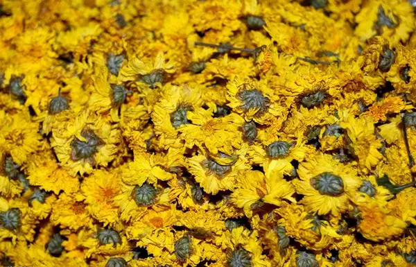 泡菊花茶 怎么泡效果最佳 知乎