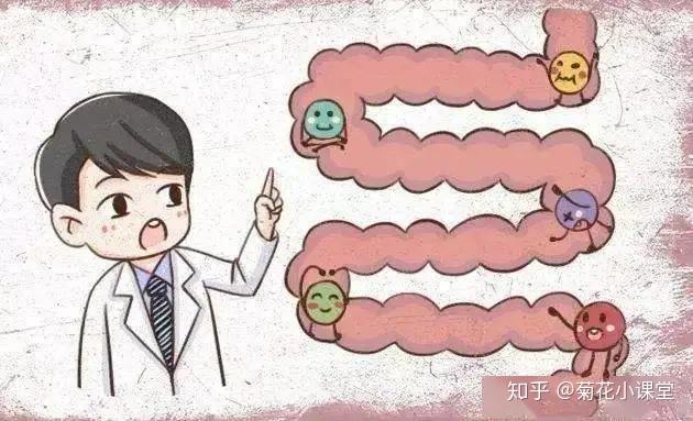 我怎么总爱放屁