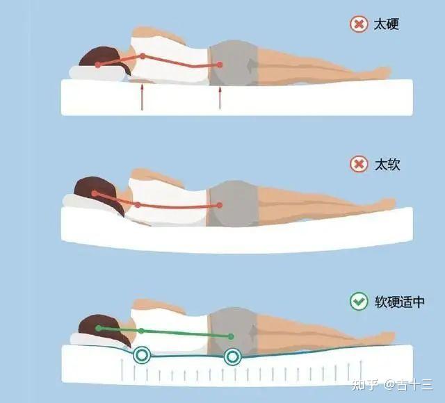 经常腰痛，睡硬板床能拯救你的腰吗？这一点很重要 - 知乎