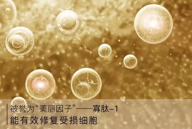 德江·渡先生 推荐成分:"万能修复因子"寡肽-1