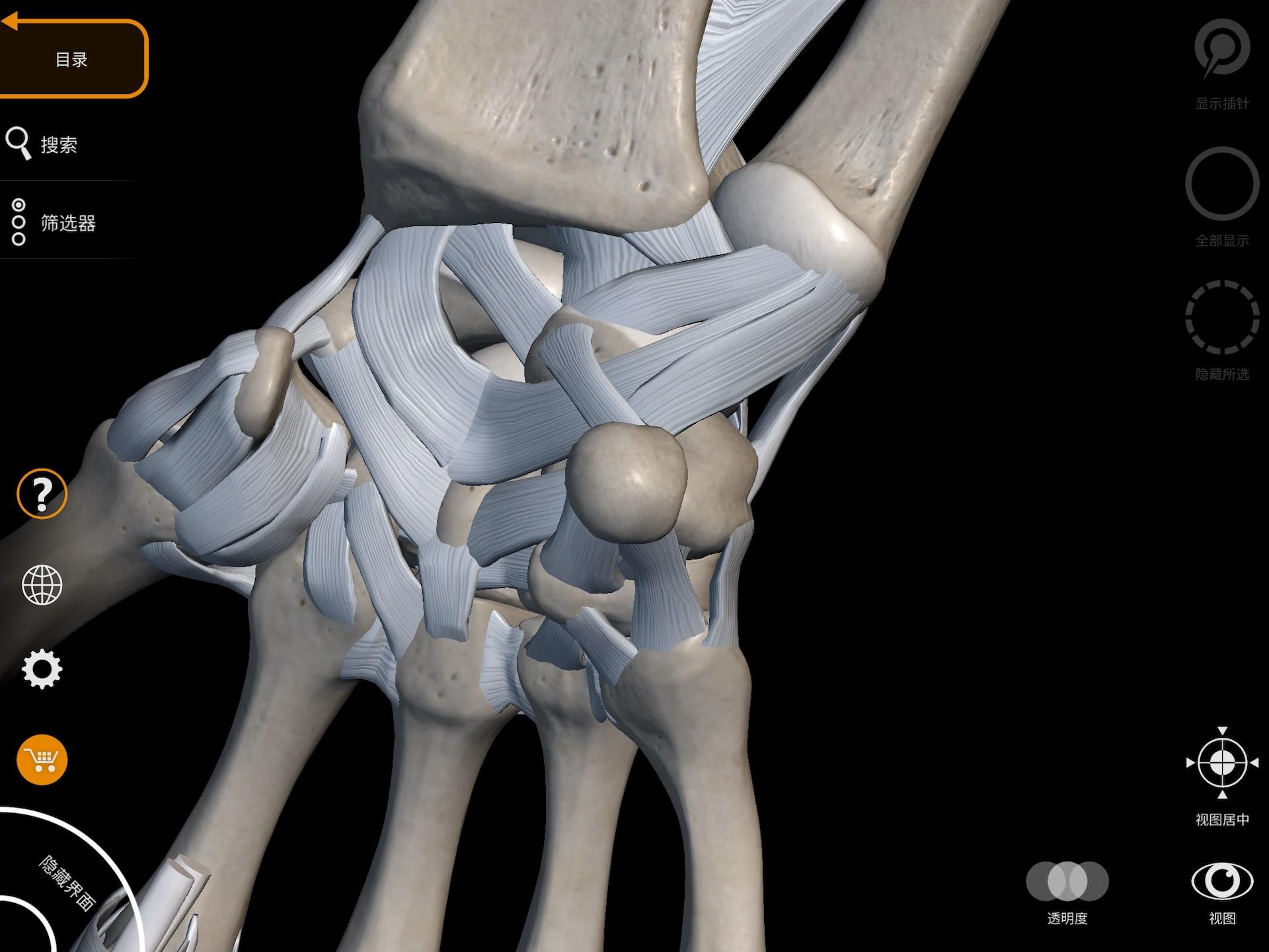 左尺桡骨远端骨折、左腕豌豆骨脱位1例 - 骨科与显微外科专业讨论版 - 爱爱医医学论坛
