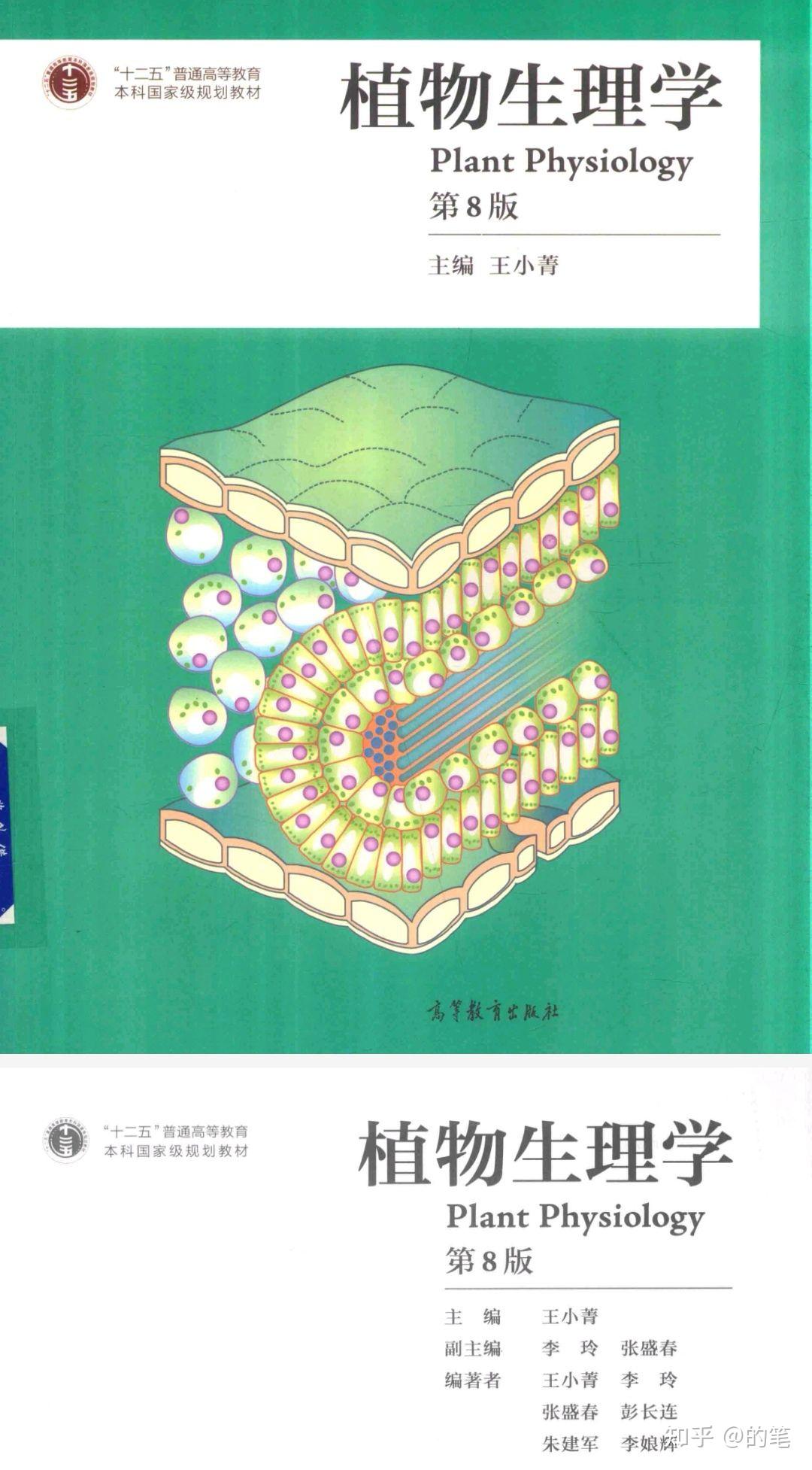 植物生理学 第八版 pdf