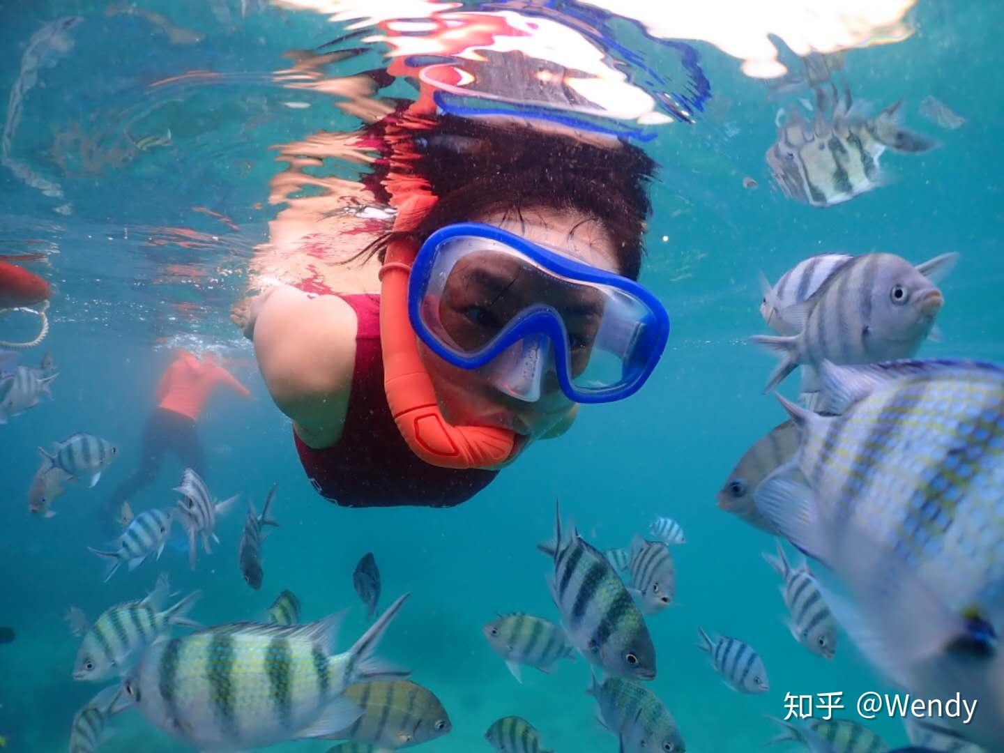 第一次浮潜是什么感受 - 知乎
