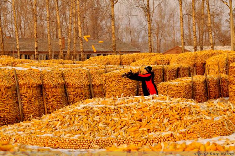 投资收益率最高的行业是什么? 农业!