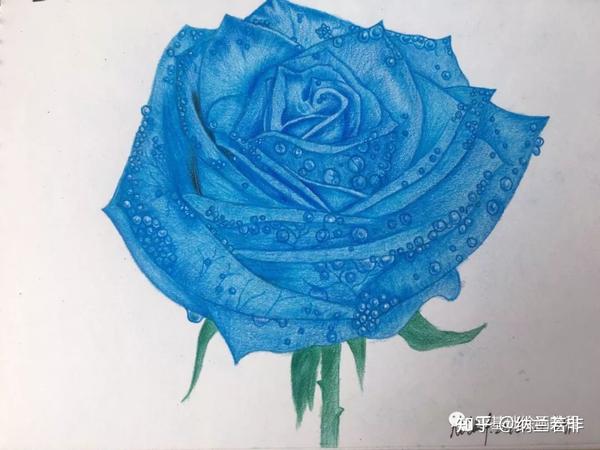 零基础绘画教程 彩铅 蓝色妖姬 下篇 知乎 零基础绘画教程 彩铅 蓝色妖姬 下篇 知乎