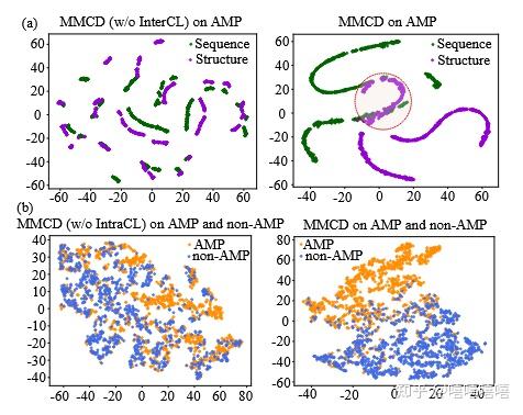 论文题目：A Multi-Modal Contrastive Diffusion Model for Therapeutic Peptide ...