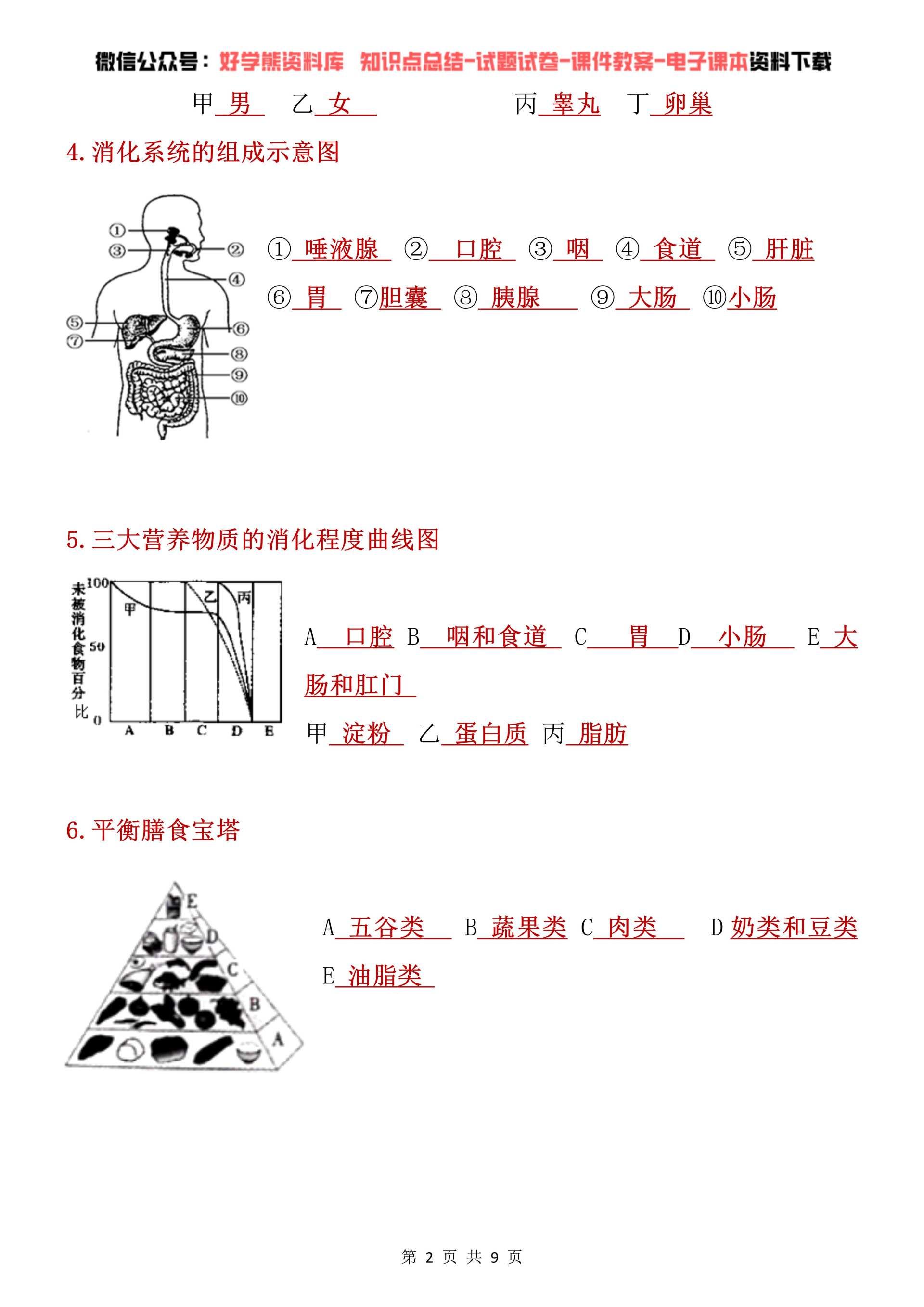 七下生物示意图图片