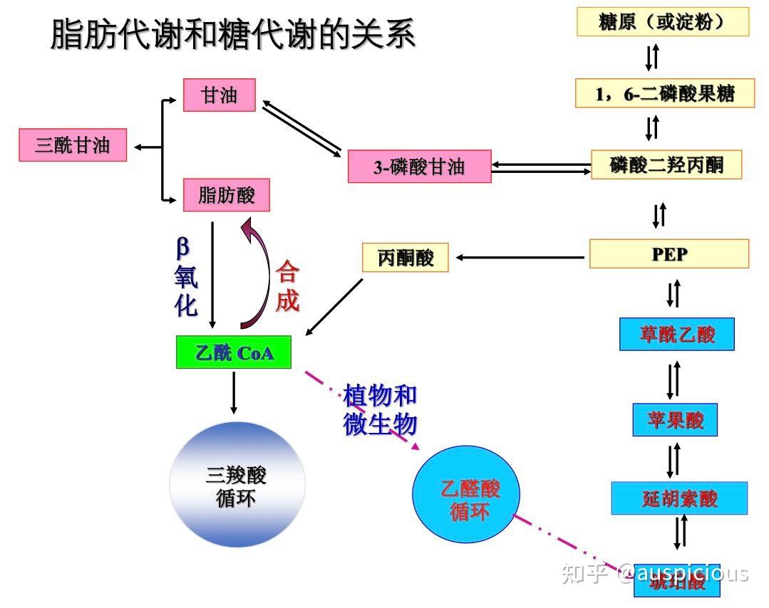 生物化学