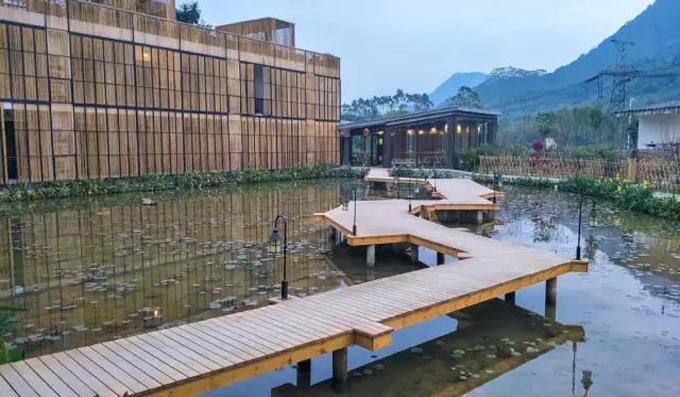 精品民宿丨禾肚里——蛙声稻香荷风星月 ,一间长在稻田里的民宿