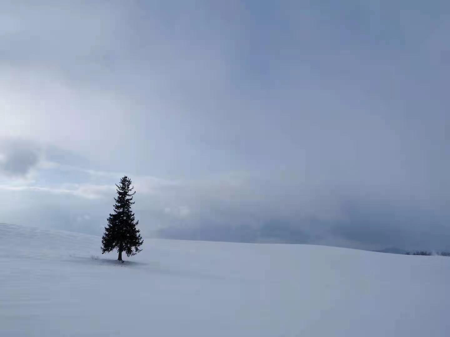日本留学大观园之东京都立大学 知乎