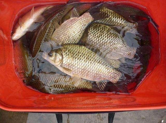 v2-56c9f5bc90458b9bd798ebe2b37d1b53_1440w.jpg?source=172ae18b