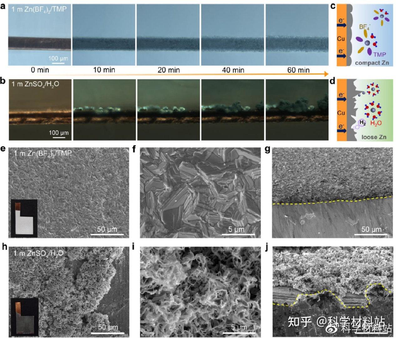 河北大学张宁团队EnSM：一种本征安全低浓度水合有机电解液用于稳定金属锌负极 - 知乎