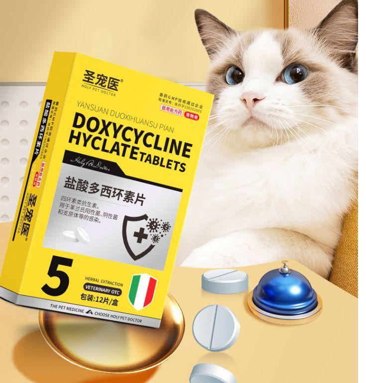 圣宠医猫咪感冒药