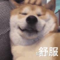 2026年豆浆机推荐指南 | 豆浆机怎么选?豆浆机是智商税还是必需品?