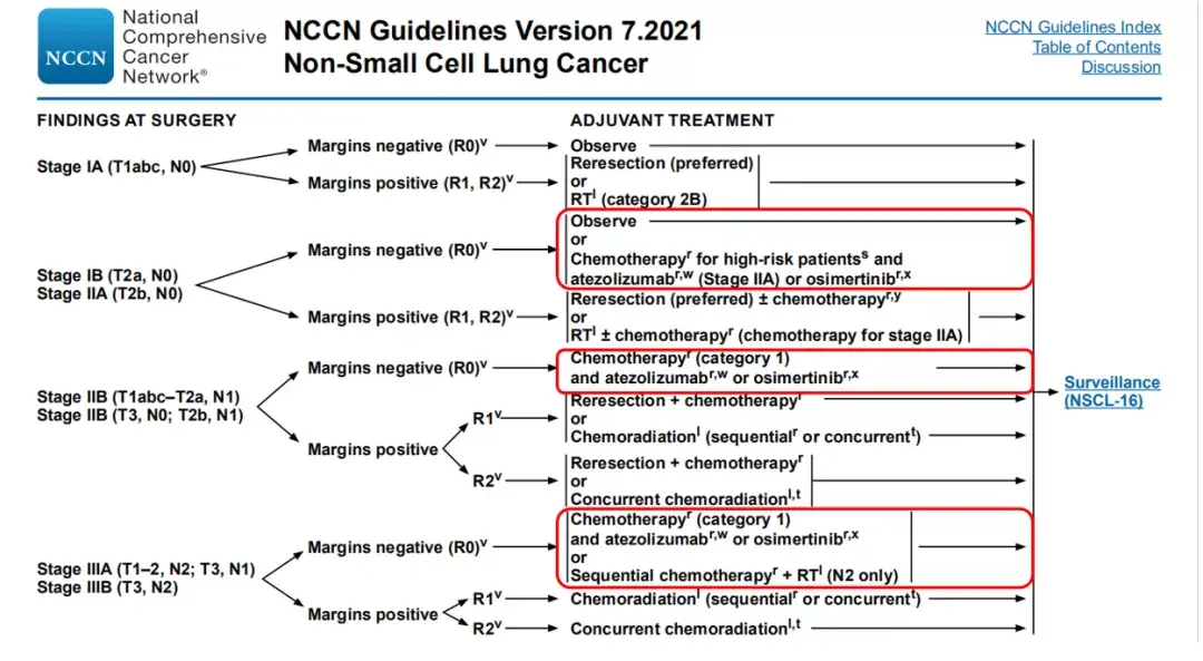 肺癌nccn指南重磅更新免疫辅助正式写入早期肺癌术后治疗