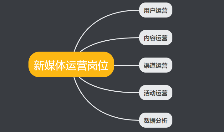 不要再问我新媒体运营是做什么的了