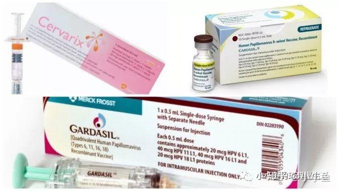 gardasil 佳達修目前有兩款疫苗上市,一款是四價疫苗針對hpv6,11,16