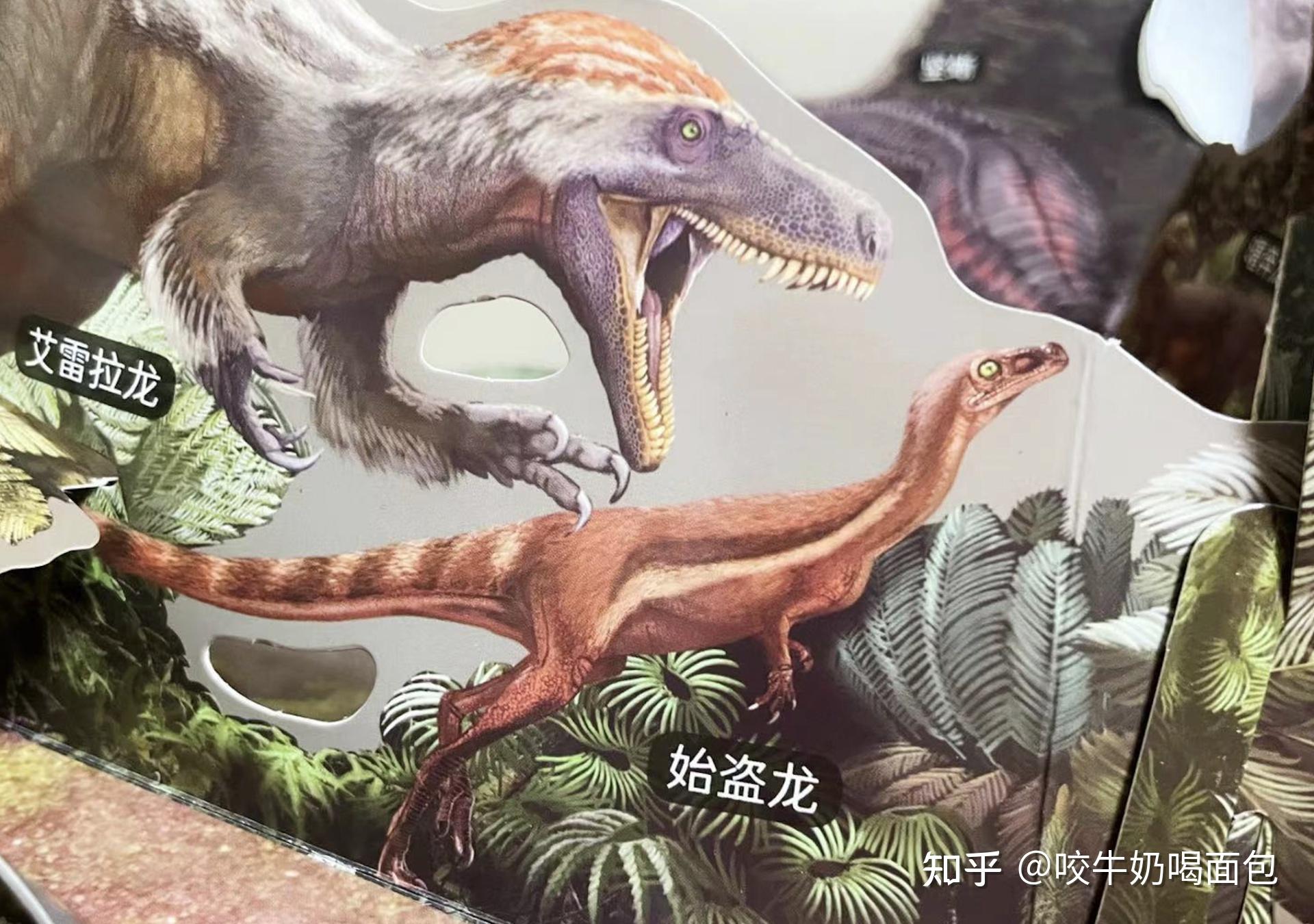 我和儿子的恐龙探秘之旅～关于恐龙的一切你都知道吗?