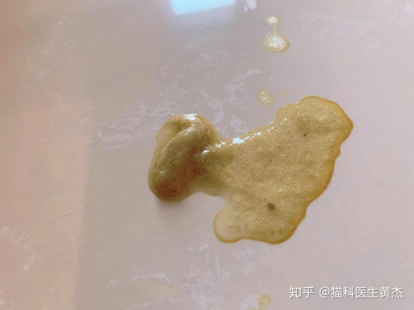 首先,如果猫猫呕吐物中混有成条的毛球,像下图这样(图片可能引起不适