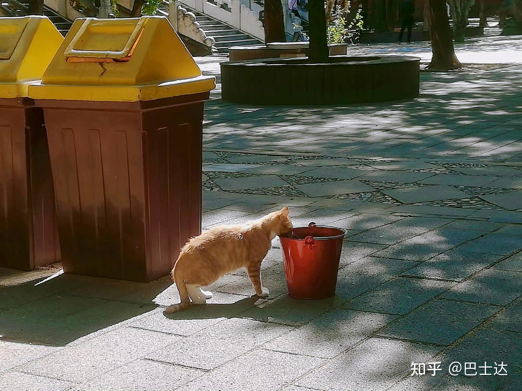 带你探秘皇帝的陵墓真的那么诡异?——明十三陵之定陵-明十三陵定陵门票多少钱