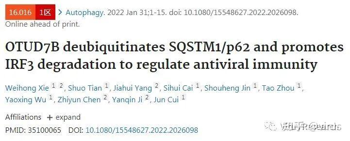 autophagyotud7b去泛素化sqstm1p62并促进irf3降解以调节抗病毒免疫