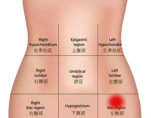 左下 腹部 と 腰 の 痛み