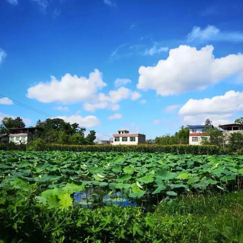 东部新区15个镇街道首次集体亮相