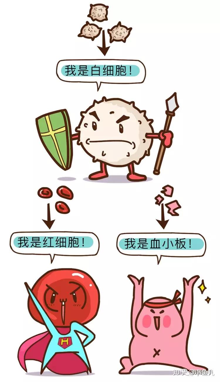 放化疗后引起的骨髓抑制千万不要忽视