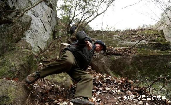 杨明志为报恩进十万大山采药大意被蜇伤垂死之际黄花救命