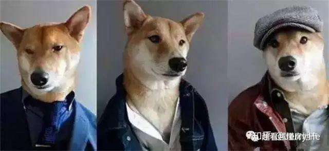 地产投资岗具体干什么?论「投拓狗」的N重身