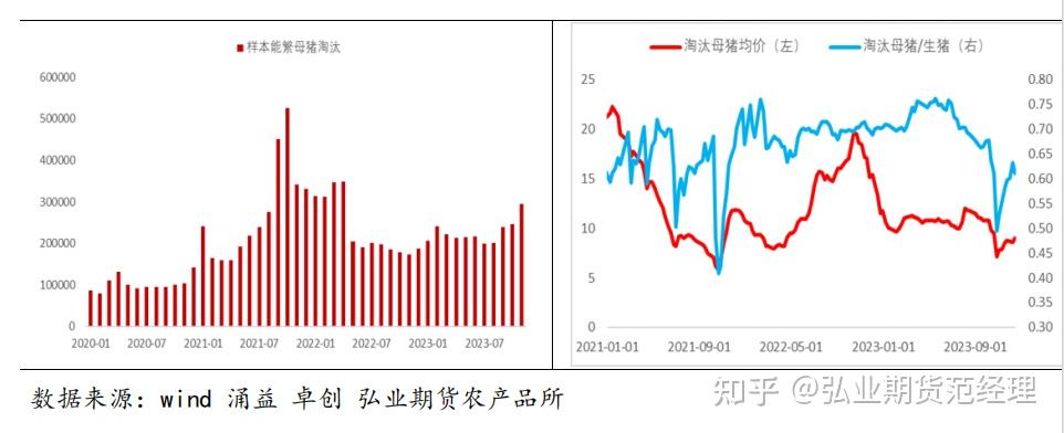 生豬年報天之將明其黑尤烈