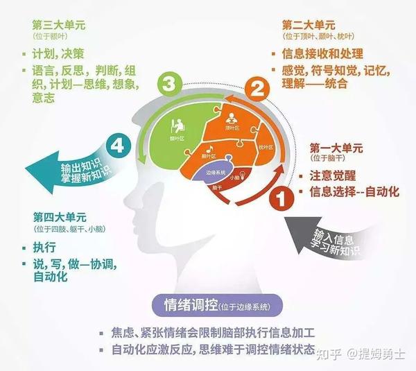家长最容易忽视儿童前庭觉,却是孩子生活学习最需要的秘诀 - 知乎
