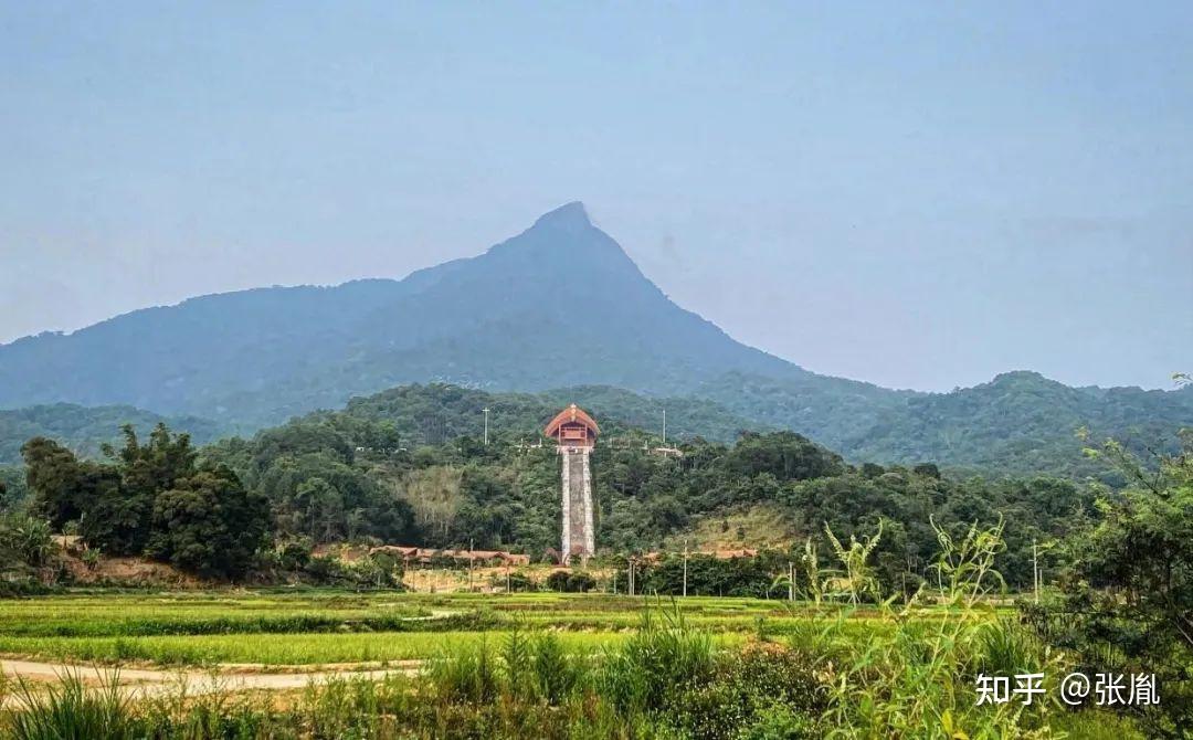 五指山下 - 知乎