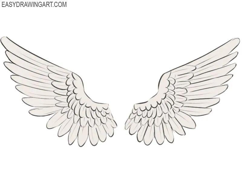 白衣天使翅膀的画法图片
