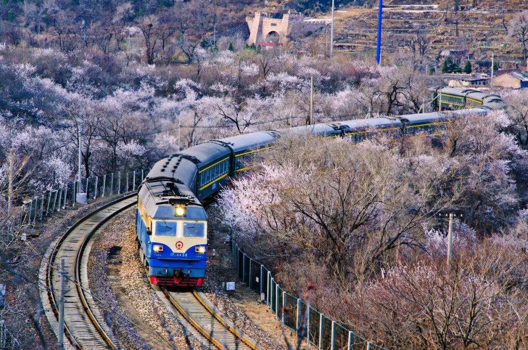 北京这趟开往春天的小火车,下周发车! 