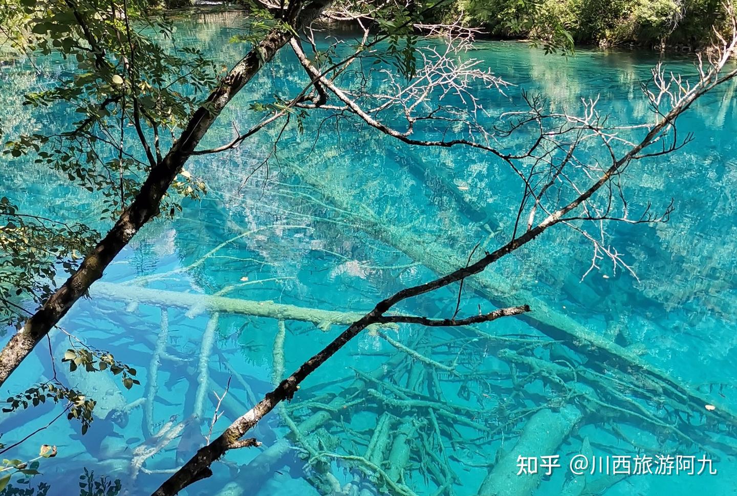 第一次去九寨沟旅游这样玩 5-6月旅游攻略 - 知乎