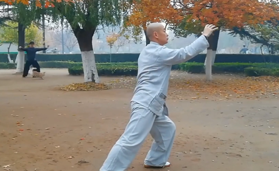 吴式太极拳宗师吴鉴泉之孙吴大新演练家传方架太极拳和应用