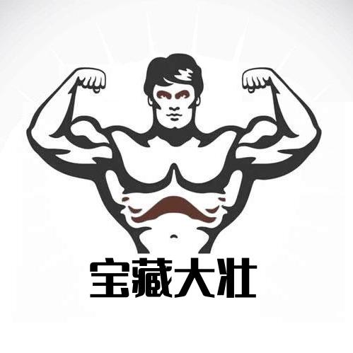 宝藏大壮