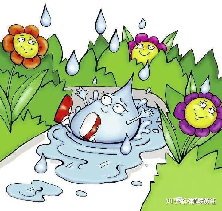 现在wendy是一片小水洼中的一份子.