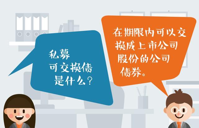 境內以非公開方式發行和轉讓並約定在一定期限還本付息的一種公司債券