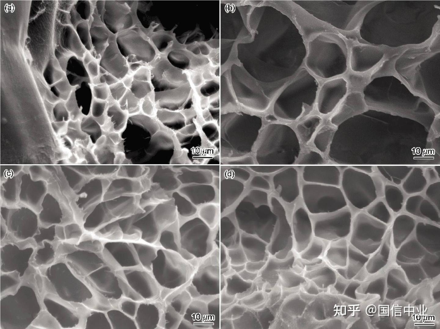 水凝胶的微观形貌表征：SEM、TEM和STEM等该如何选用？ - 知乎