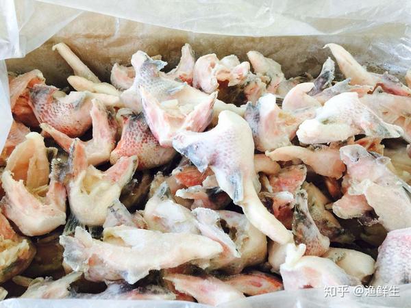 渔之歌 鱼皮 鱼下巴 鱼鳞 鱼骨 除了鱼肉 这些也是宝贝 知乎