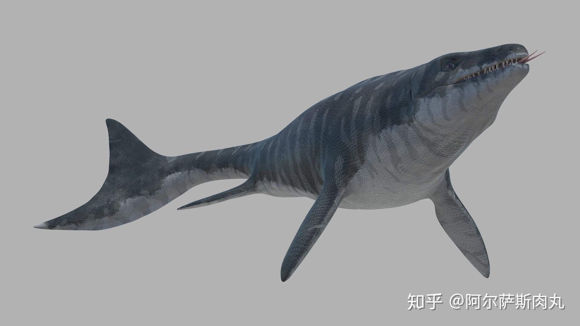 「Prehistoric Park丨史前公园 4」远去的深蓝魅影—鱼龙兴衰简史 - 知乎