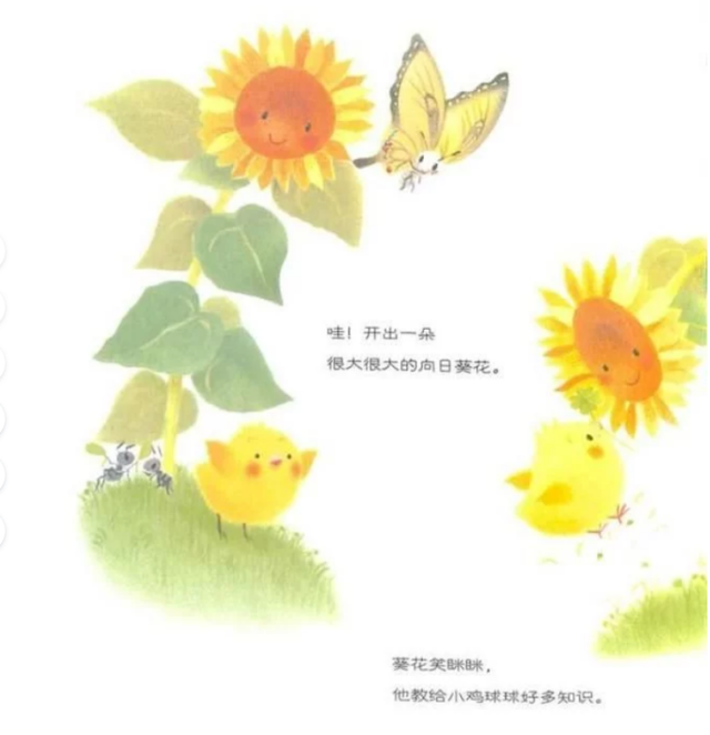 有声绘本故事小鸡球球和向日葵