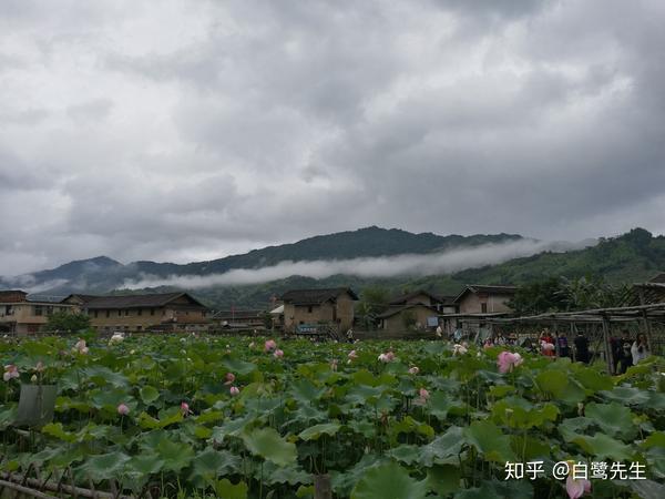 福州到杭州南的动车表_福州到厦门动车时刻表_福鼎到福州北站动车表