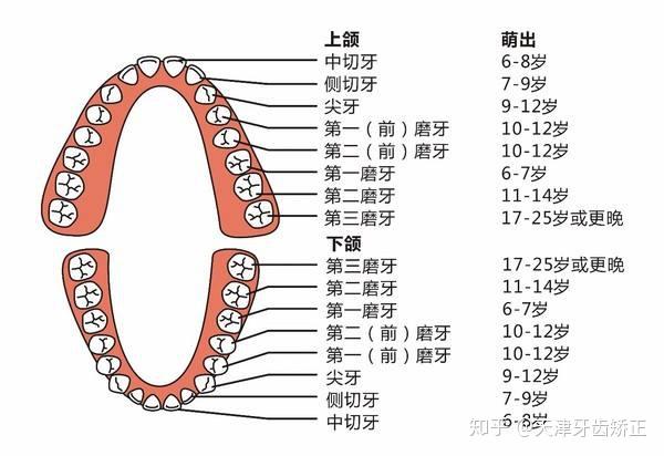 牙齿矫正中出现了黑三角怎么办