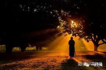 抖音中毒后,我得反思所浪费的时间。